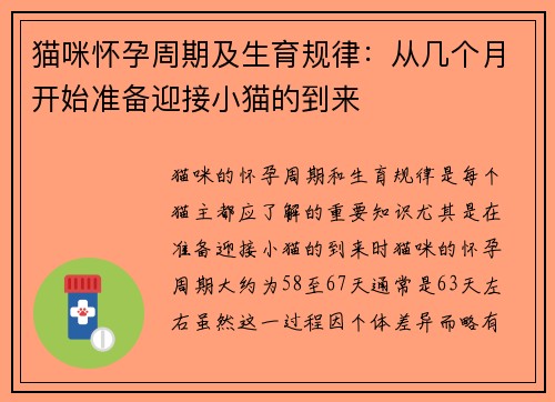 猫咪怀孕周期及生育规律：从几个月开始准备迎接小猫的到来